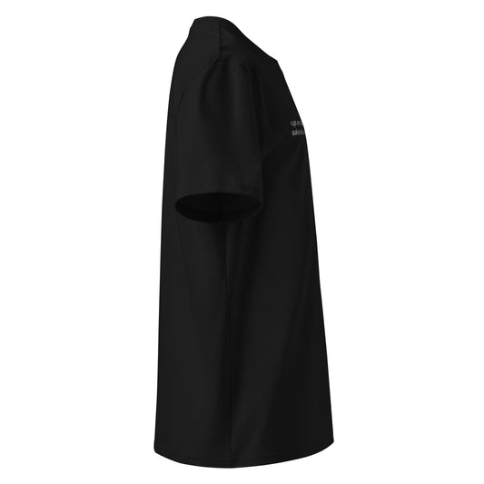 Samarreta vagis on vagis